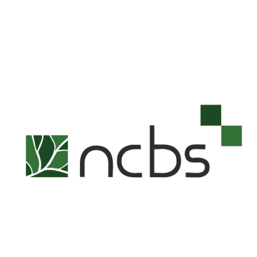 NCBS Recruitment 2021 For 04 Vacancies | Apply Here